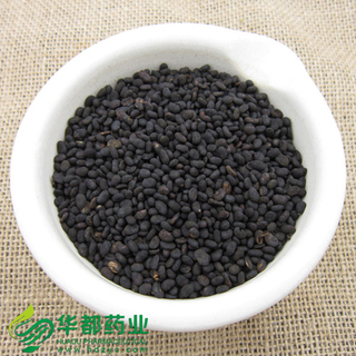 Psoralea Fruit / 补骨脂 / Bu Gu Zhi