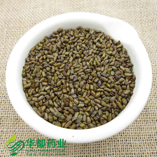 Cassia Seed / 决明子 / Jue Ming Zi