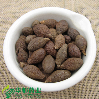 Sterculiae Lychnophorae Semen / 胖大海 / Pang Da Hai