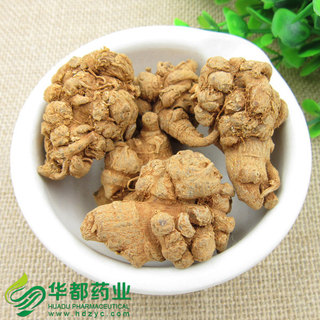 Notoginseng Root / 三七 / San Qi
