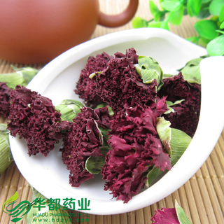 Carnation / 康乃馨 / Kang Nai Xin
