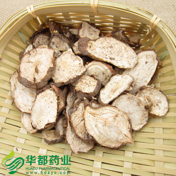 Radix Ampelopsis / 白蔹 / Bai Lian