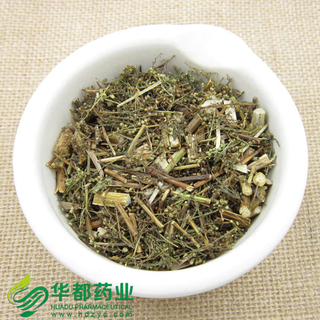 Sweet Wormwood / 青蒿 / Qing Hao