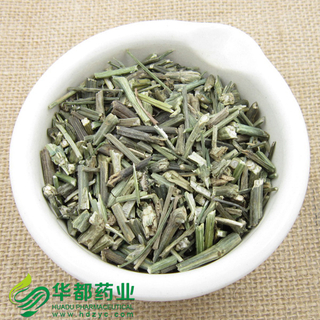 Herba Andrographis / 穿心莲 / Chuan Xin Lian