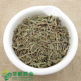 Biota Tops / 侧柏叶 / Ce Bai Ye