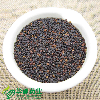 Fructus Polygoni Orientalis / 水红花子 / Shui Hong Hua Zi