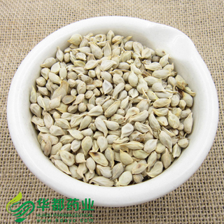 Semen Citri Reticulatae / 橘核 / Ju He