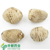Water-Plantain Tuber / 泽泻 / Ze Xie