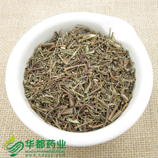 Speranskia Leaf / 透骨草 / Tou Gu Cao