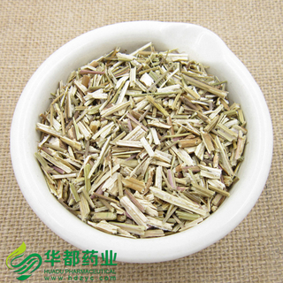 Herba Schizonepetae / 荆芥 / Jing Jie