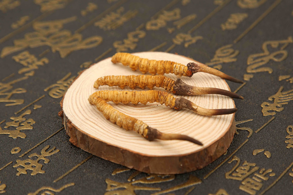 Use and preservation of Cordyceps sinensis