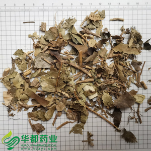 Ivy leaves / 常春藤 / Chang Chun Teng